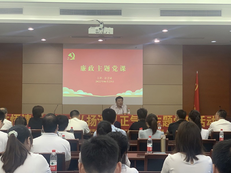 「體悟清廉立世，弘揚清風(fēng)正氣」主題黨日活動